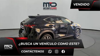 MomoCars