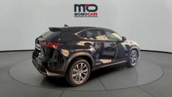 MomoCars