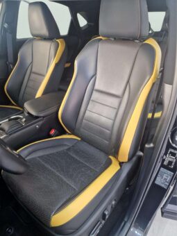 
										LEXUS NX300H BLACK full									