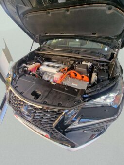 
										LEXUS NX300H BLACK full									