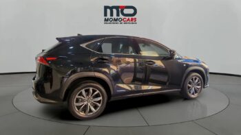MomoCars