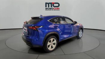 MomoCars