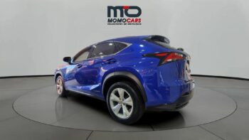 MomoCars