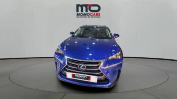 MomoCars