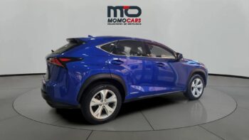 MomoCars